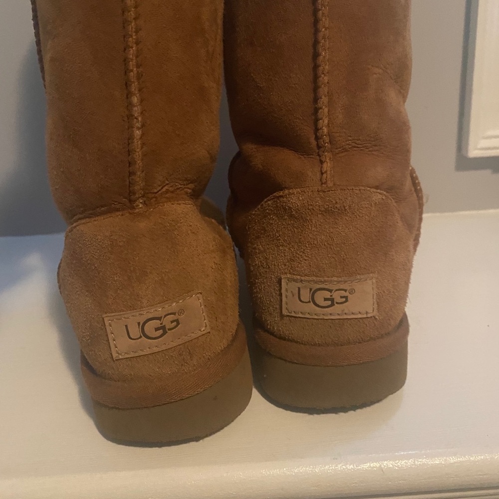 tall chestnut ugg’s